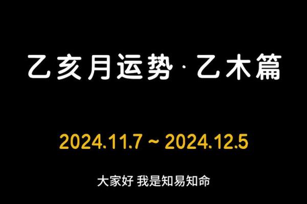 解析乙亥女命格局：运势、性格与人生机遇的独特之旅