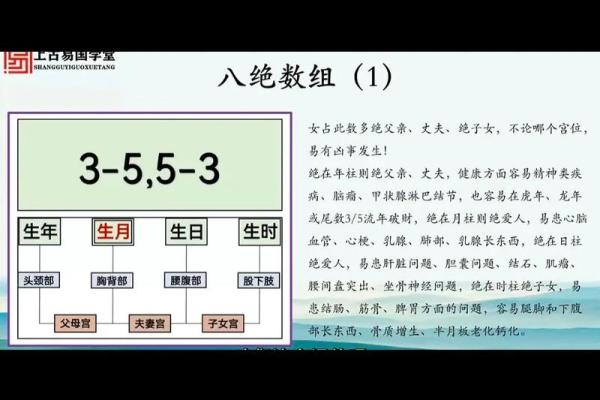 揭秘好八字：命理中的秘密与依据