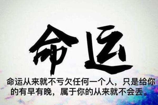 八三年出生的人：命运分析与人生启示