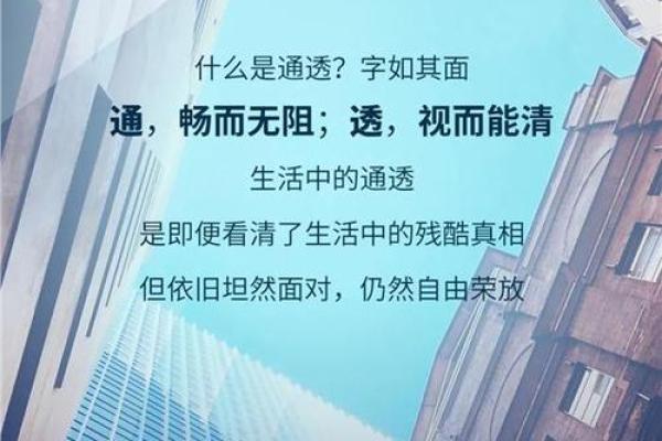 命格560的深度解析：探索人生的奥秘与方向