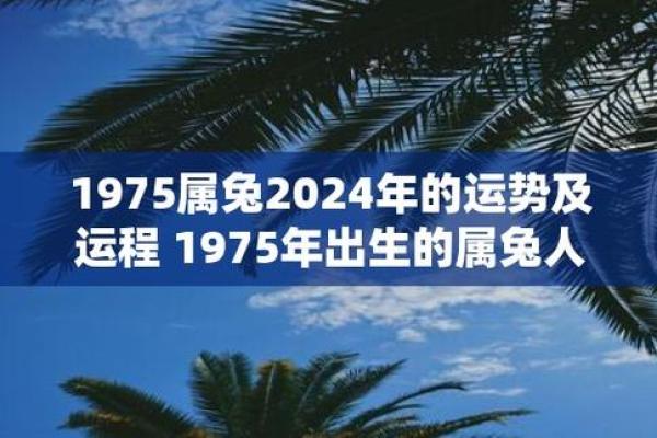 2024年属什么命人：探索兔年运势与人生机会的全新篇章