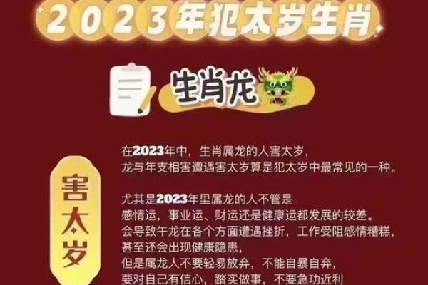 海中金命的运势解析：哪些年份是你的幸运年？