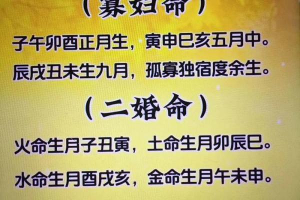 解析土命与缝辰己土命的深刻内涵与影响