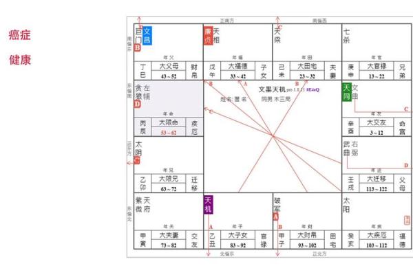 探索紫微单星坐命的奥秘：命盘解读与人生启示