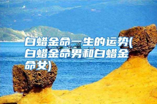 印旺男命与女命的最佳匹配探讨：携手共创美好未来