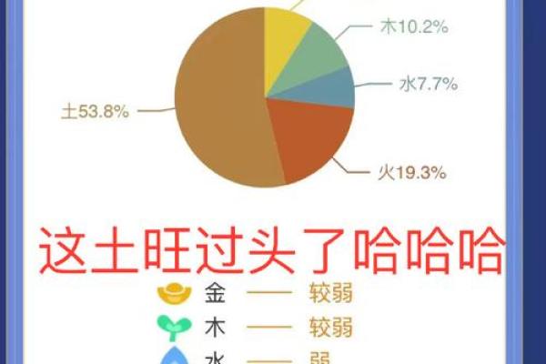 命主生肖揭秘：探寻你的命理基础与生活指导