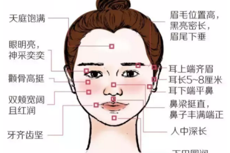 耳朵比眉毛高的命理解析：了解你的命运密码