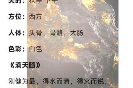 女命月柱七煞命格解析：掌握命运，开启人生新篇章！