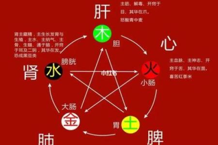 命里缺水的人应如何补充、调理与改善？