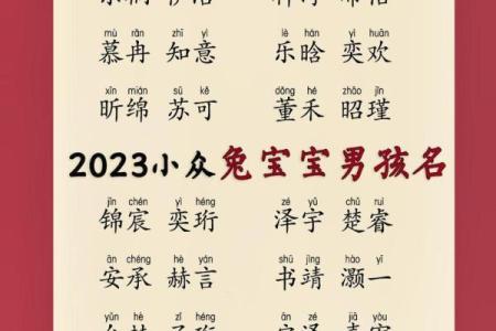 2023年兔宝宝命运解读：属兔孩子的未来发展与性格特点