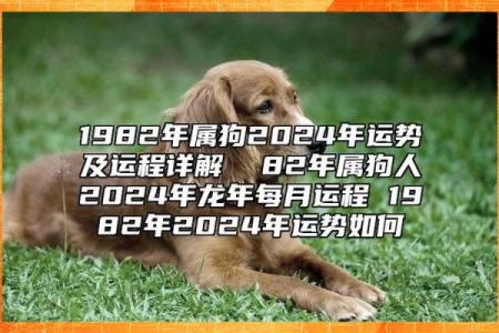 2018年狗年属相分析：如何理解狗命的五行与命运