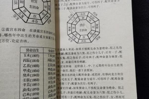 属虎坎命：东四命的独特魅力与人生启示