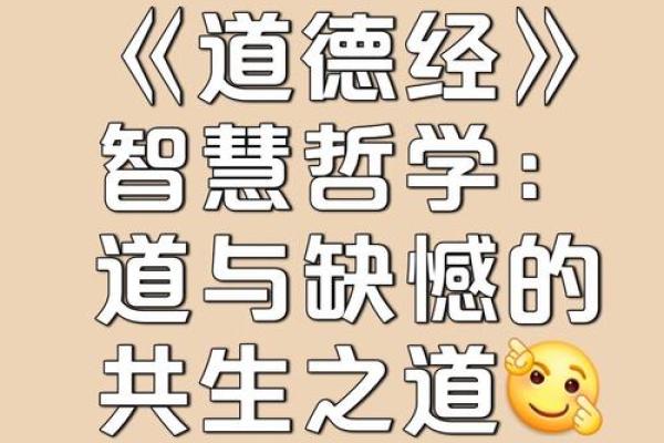 探寻命理学中的阴阳哲学：平衡与和谐的智慧之道