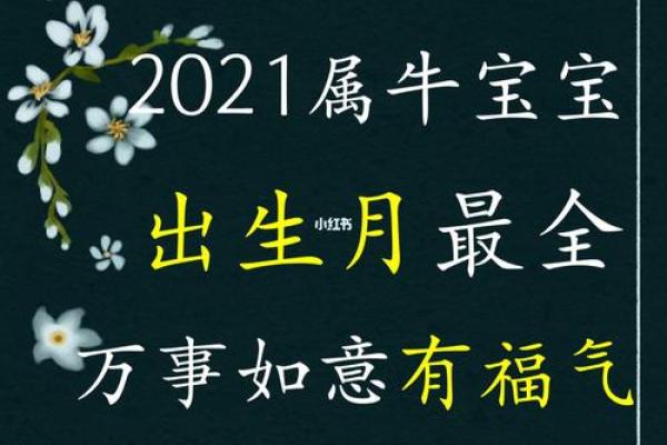 解析属相牛男的命运：哪个命理最为理想？