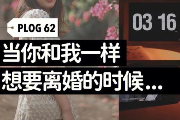 为什么我会离婚：命运的捉弄与选择的苦涩