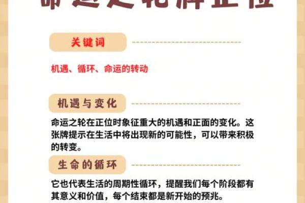 揭示塔罗牌的奥秘：探索你今生的命格与人生道路