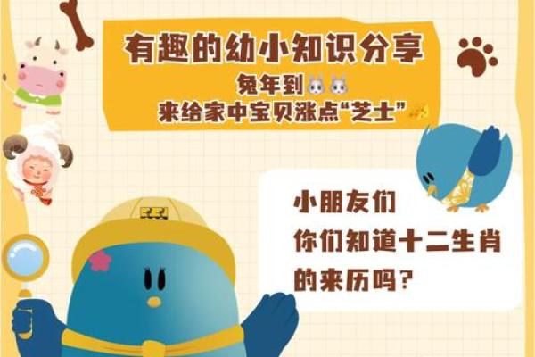 兔年命理解析：适合送什么礼物让兔年生辰的人心意满满？