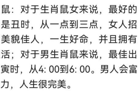 鸡年出生的人属什么命：解读生肖鸡的八字命理与性格特征