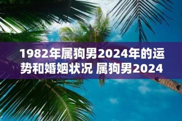 1982年属狗人的命运与人生探秘：揭示属狗人的特质与运势