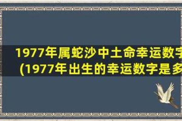 沙中土命的特点与能量提升之道：缺什么、补什么？