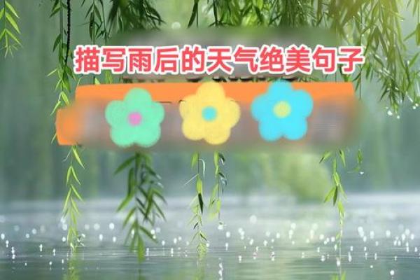 雨水来临，谁是大自然中的落水“隐患”？