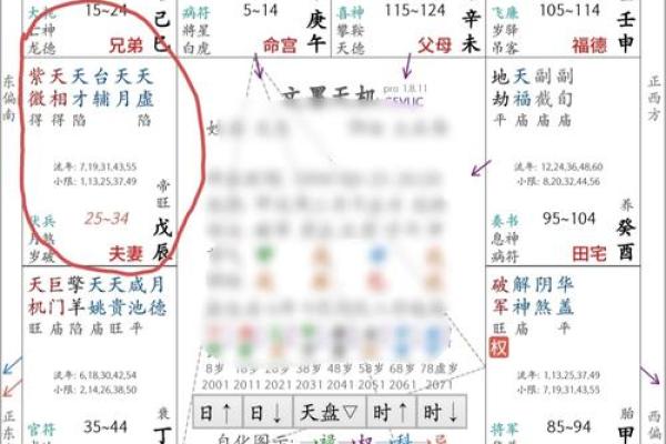 2013年命格解析：揭示你的个人特质与发展方向