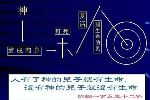 1995年出生的人命运解析：探索人生的奥秘与机遇