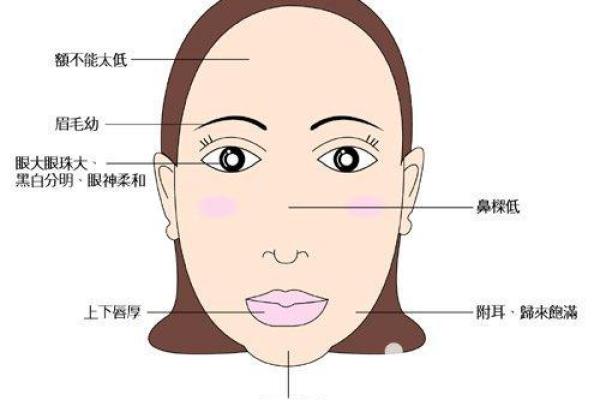 根据鼻子向外翻女人的命运解析：你知道吗？