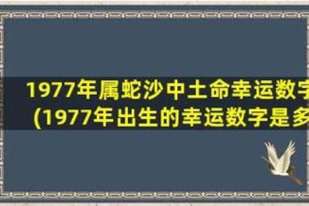 沙中土命的特点与能量提升之道：缺什么、补什么？