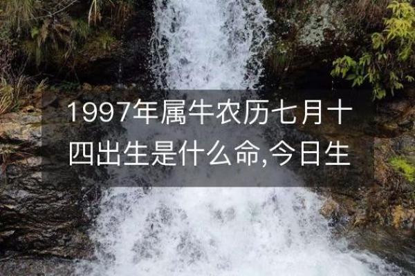 1997年出生的人命理特点与命运解析