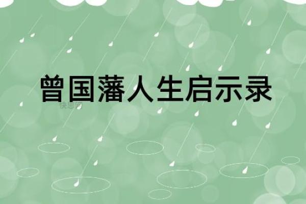 四两六的男命：命理深度解析与人生启示