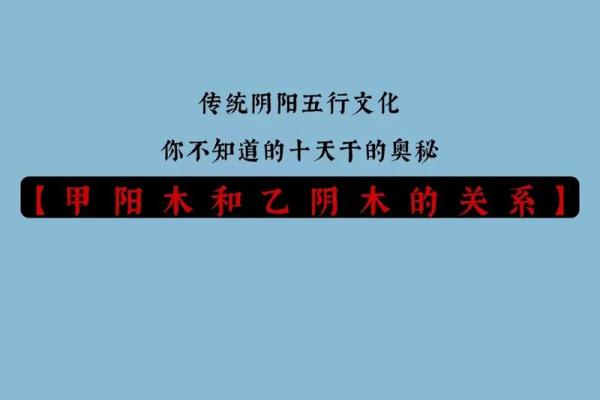 探寻24岁：甲子命中的命理奥秘与人生指引