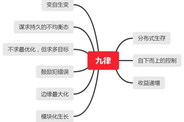 老鼠的命运：1996年出生的人生旅程与性格探索