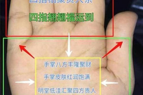 揭秘富贵命的特征：怎样的人能享受人生的奢华与荣耀？