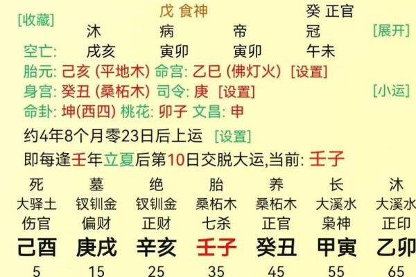 神仙之命：揭秘八字命局中的灵异奥秘与人生开运智慧