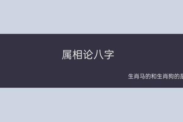 揭开属相不合的神秘面纱，命理解读助你找到和谐伴侣！