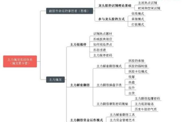 号脉右手命的奥秘：揭示命运的掌控之道