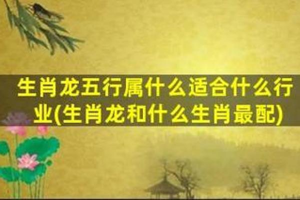 1999年属龙的命运分析：如何把握人生的每一个机遇