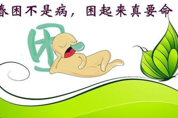 嗜睡如命，生肖之中哪一位有这种特性？