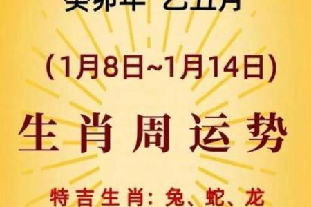 94年属什么命，了解你的命格与运势，开启人生新篇！