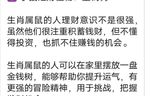 1996年属什么？解析1996年属鼠人的命格与人生运势