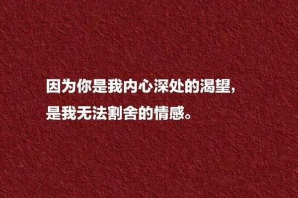 爱如命：那些我无法割舍的情感与追求