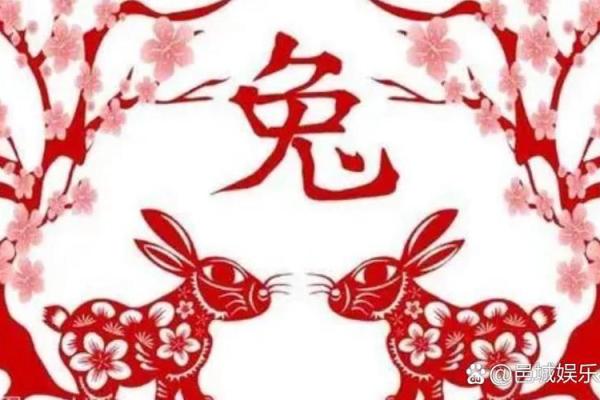 探秘29岁命运与生肖的奥秘：你的未来由此而定！