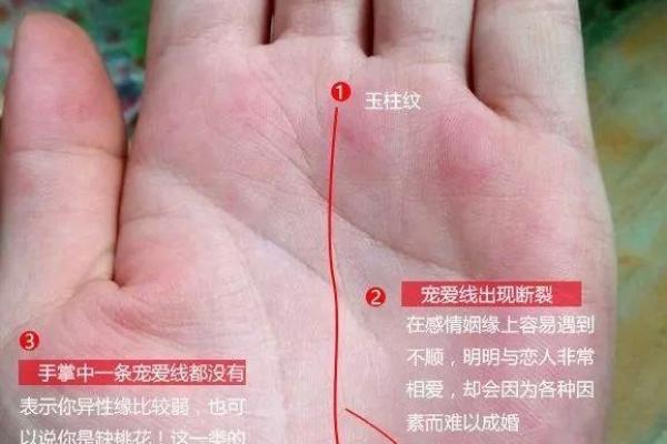 婚后命运解析：揭秘男性在婚后命的变化与影响