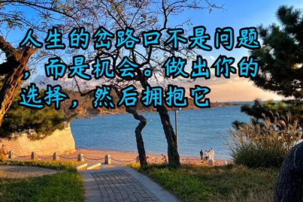 走进2000年生人的命运之道：探索未来的光辉与挑战