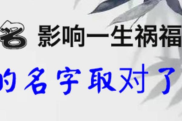 2017年阴历11月出生的人命运解析：揭示性格与人生道路的神秘面纱