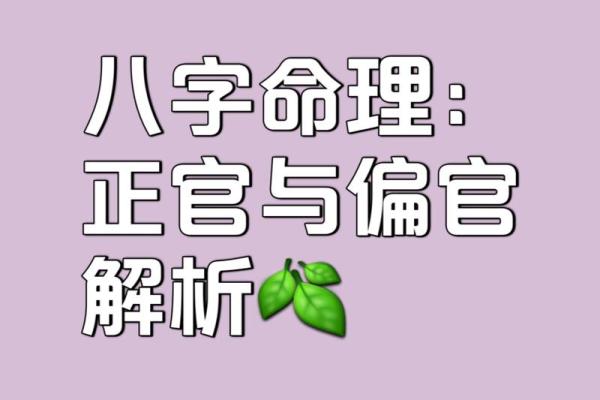 1993年命理解析：揭示你的命运与性格特征