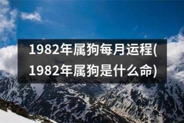 70年属狗命运解析：如何找到你的幸福与成功之路