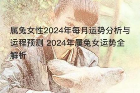 2024年属兔人的命运分析：运势、财富与人际关系全揭秘！