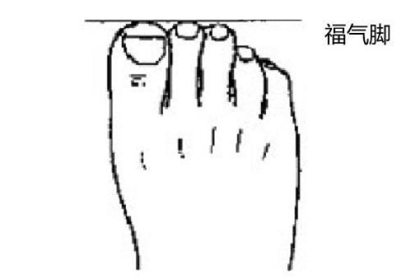 女人福星贵人命解析：揭示你内心深处的美丽与力量